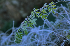 薄化粧　１