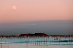The Moon in the Morning
