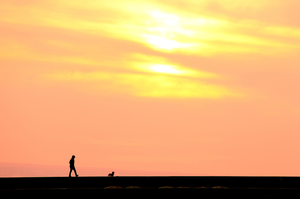 A Walk in the Autumnal Sunset