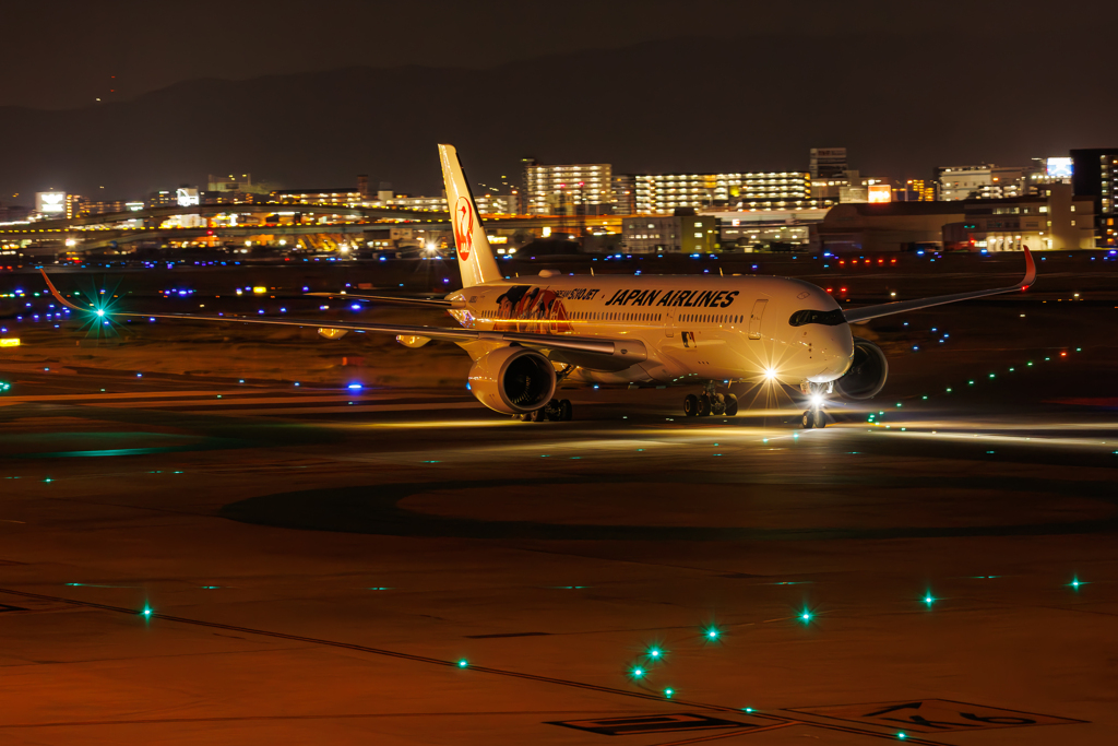 The Airport at Night