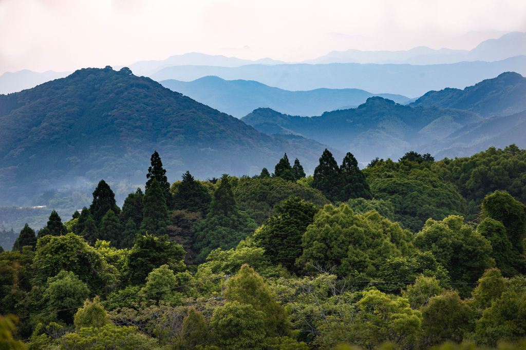 里山の春