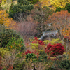 秋色に染まる山肌