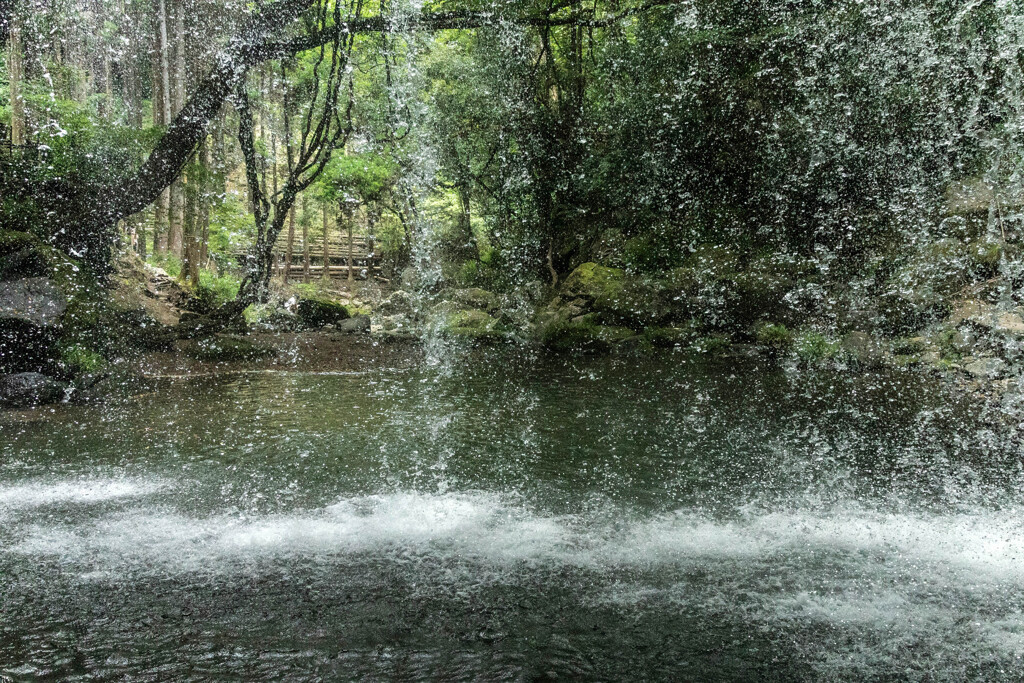 水滴越しの風景