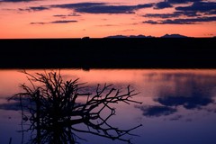 お家へ帰ろう　ー有明海の情景４ー