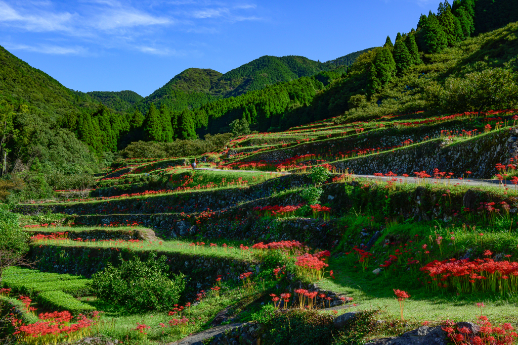 里山の秋　２