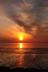 夕日と干潟