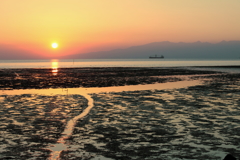 夕映えの干潟