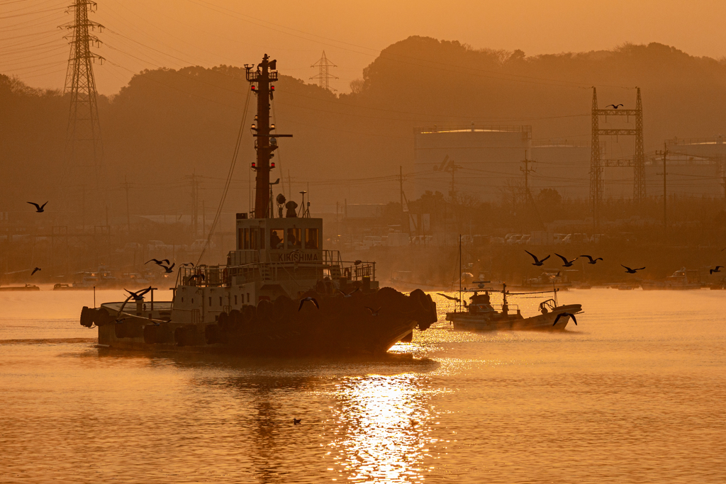 A Tugboat in the morning light