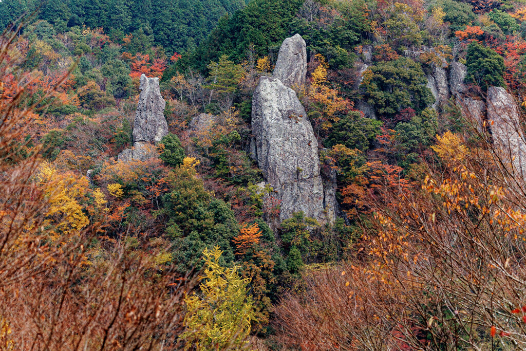 奇岩と紅葉