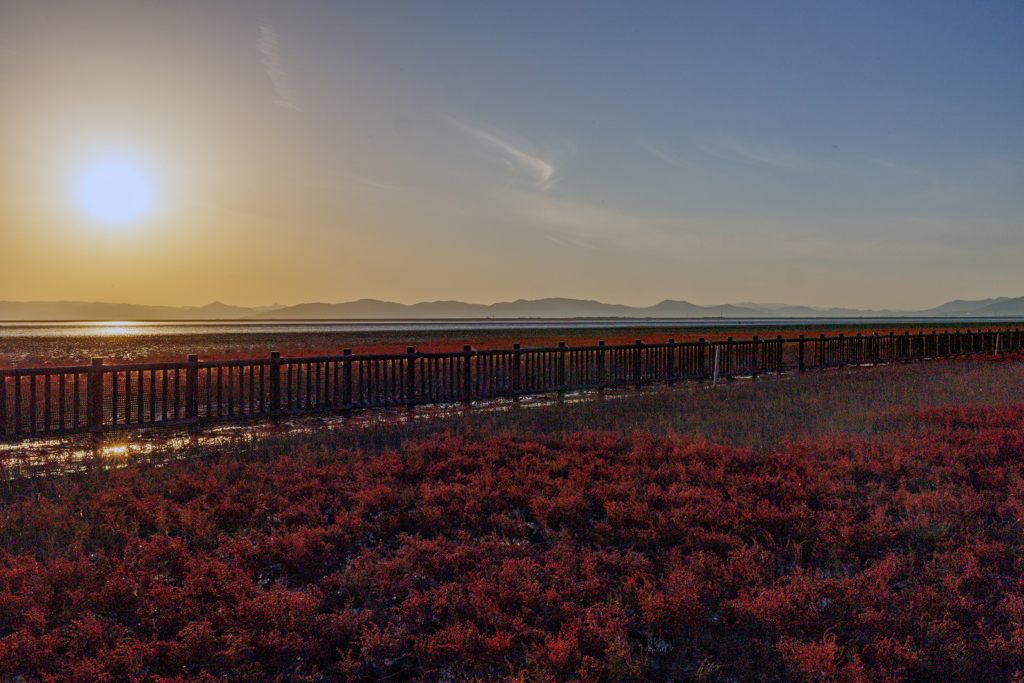 有明海の紅葉　１