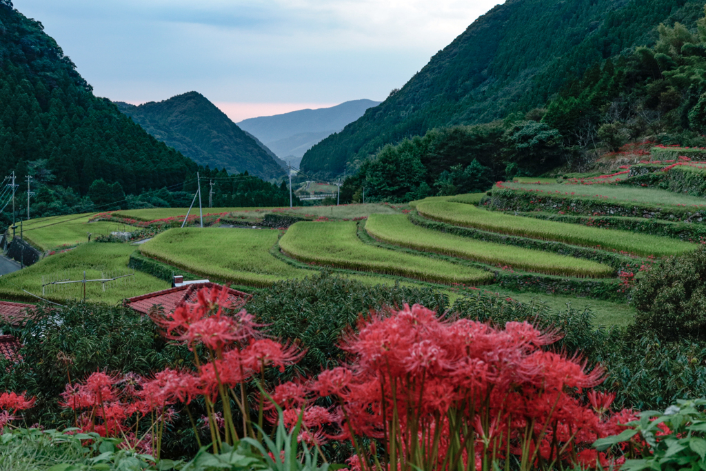 初秋の里山