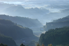 The Morning Fog
