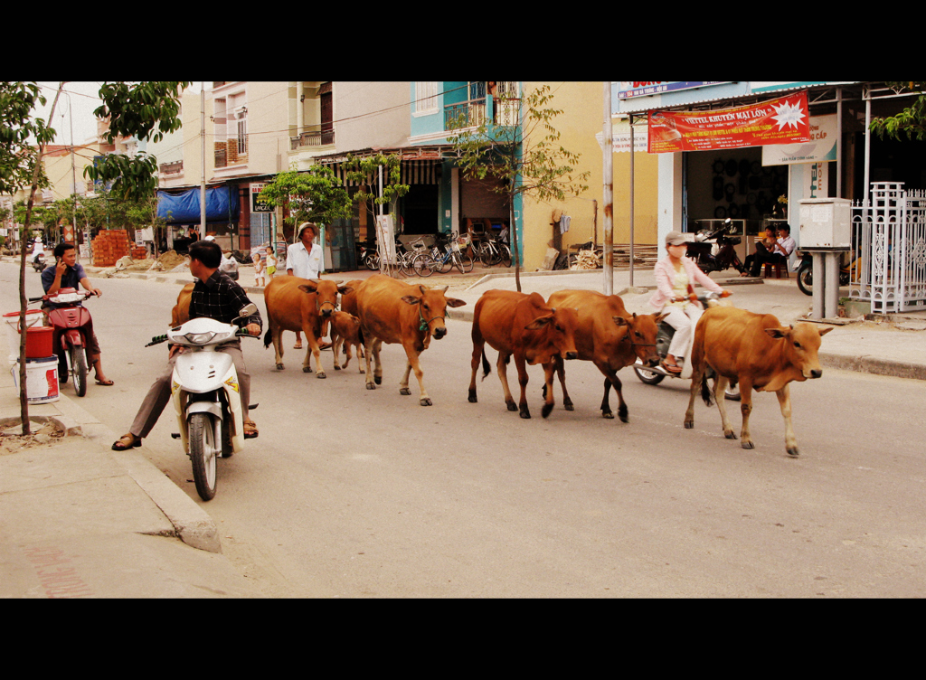 Hoi Ａn