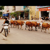 Hoi Ａn
