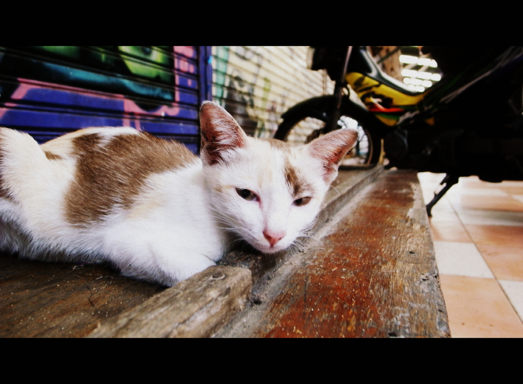 Khaosan road