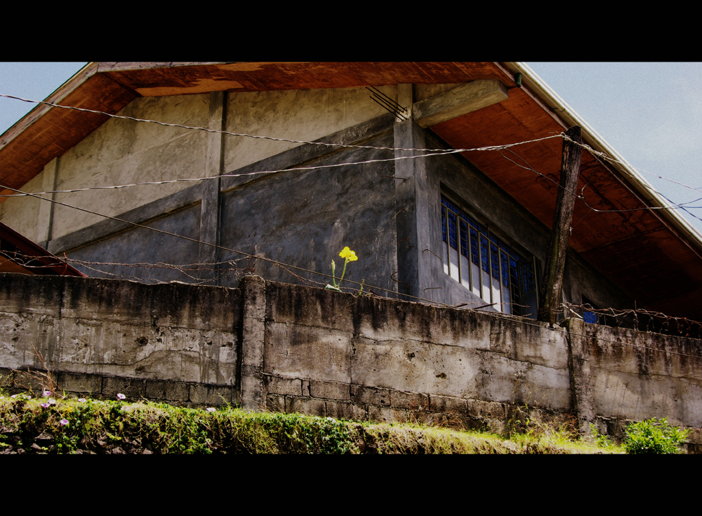 Banawe