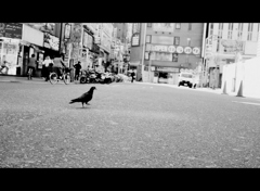 新宿