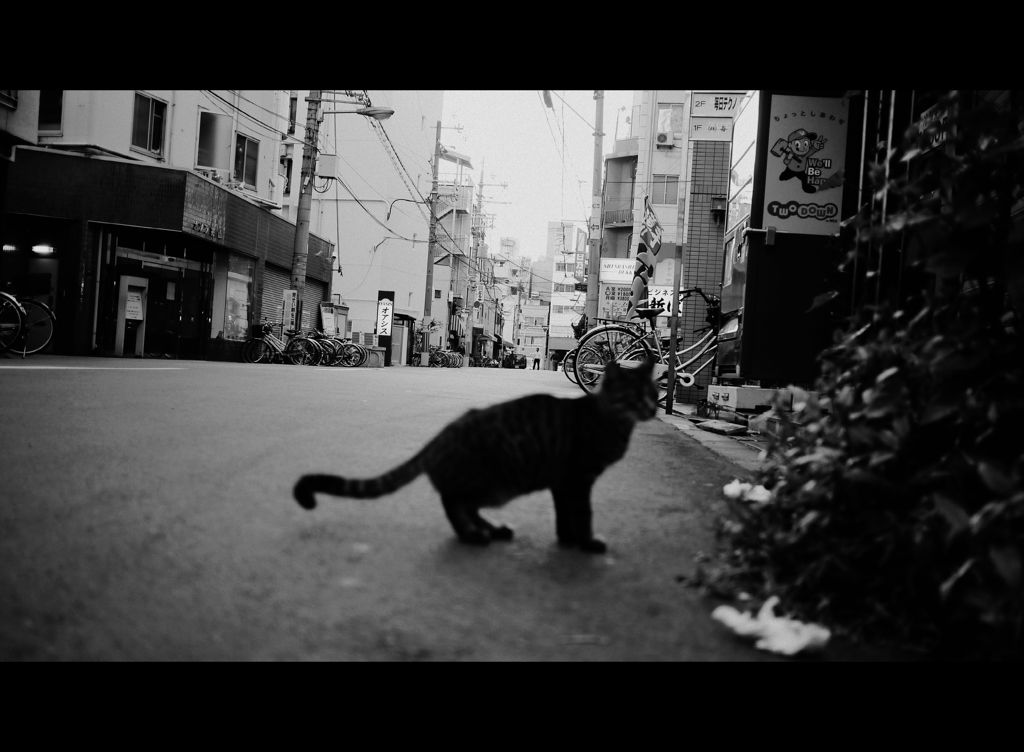 西成