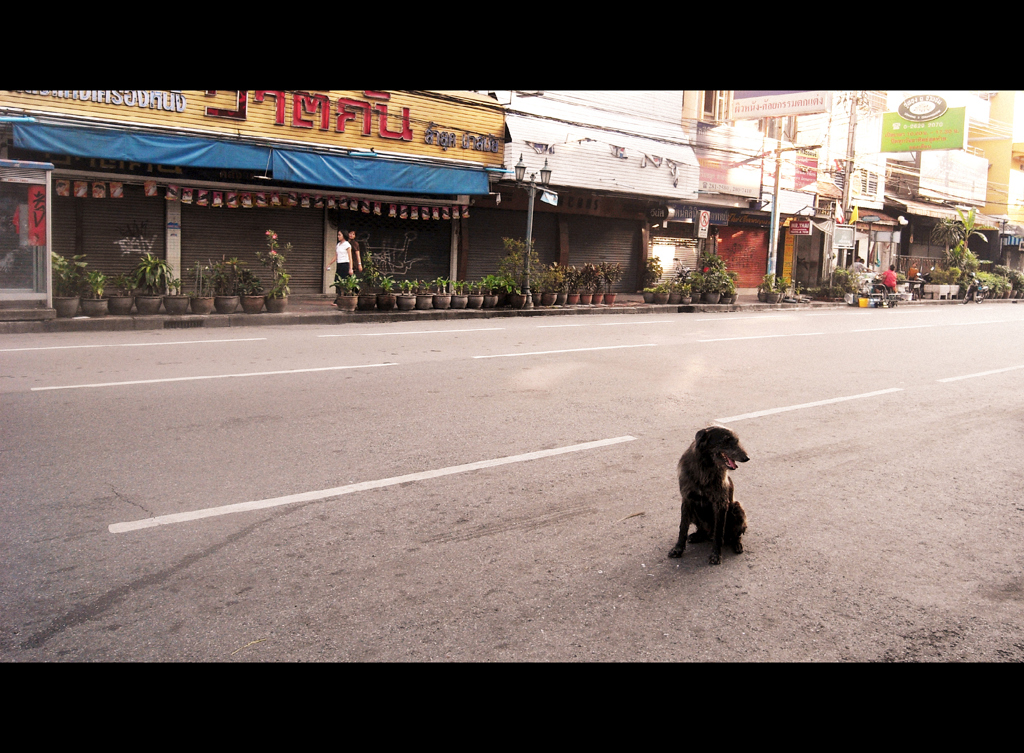 Khaosan road