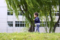 山の上の散歩道