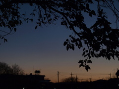 夕暮れ