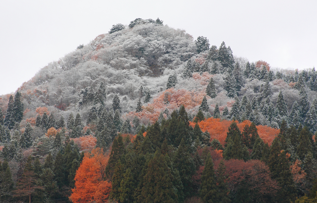 サクッと新雪