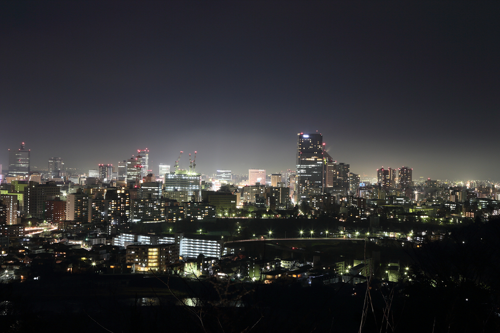 青葉城址 夜景 仙台市街地 By まっちょ Id 写真共有サイト Photohito