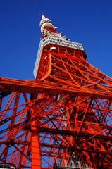☆ 東京タワー ☆