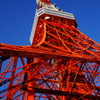 ☆ 東京タワー ☆