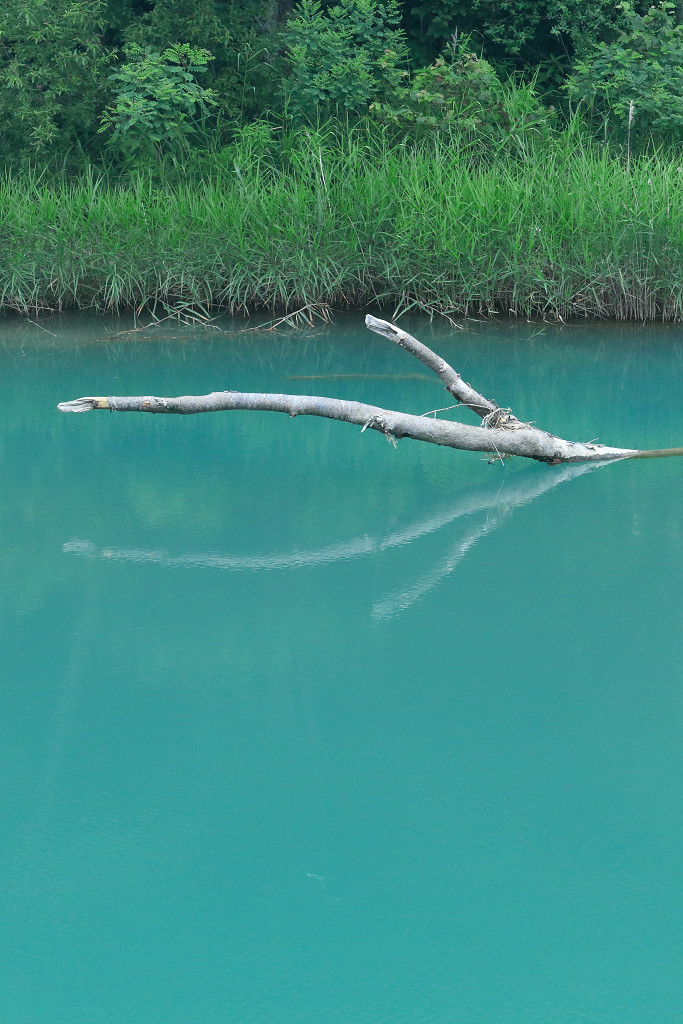 blue of green.