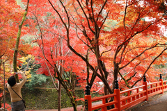 養父神社