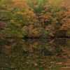 秋の森の中で鏡面に映る竹絵