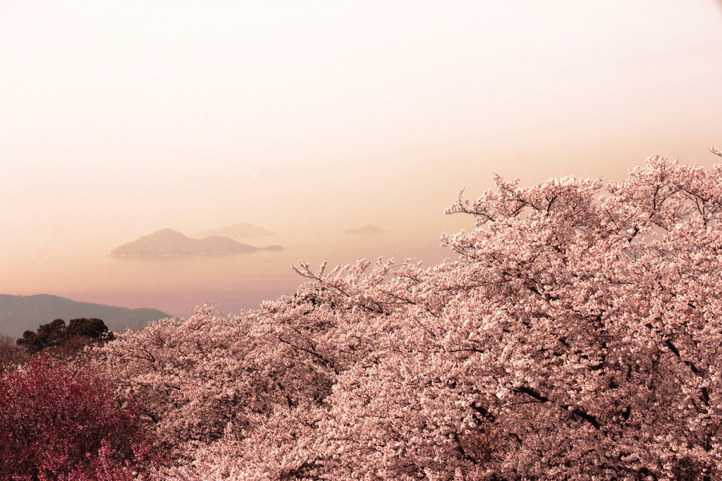 春霞