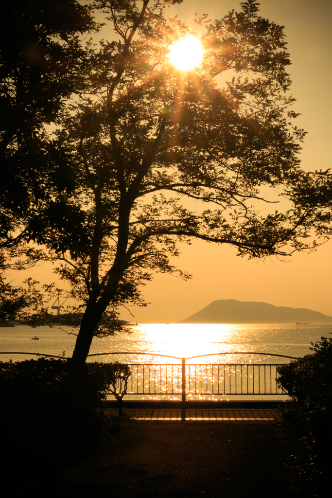 太陽が沈む前に