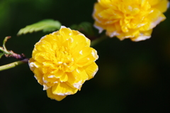 055