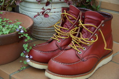 REDWING