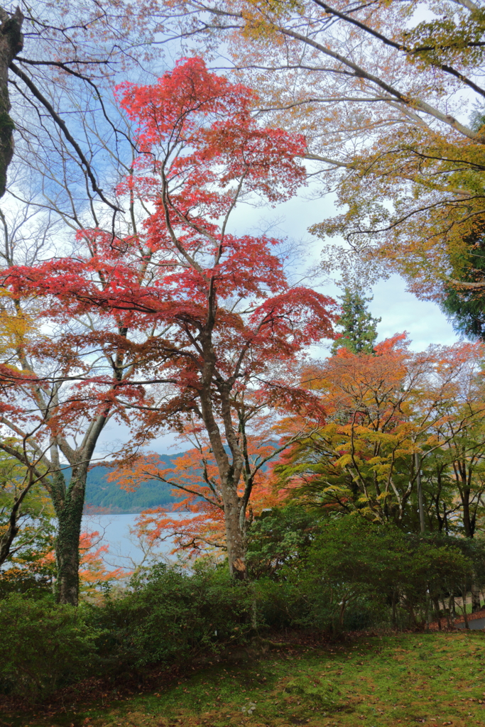 2024HAKONE_Reconstruction_4