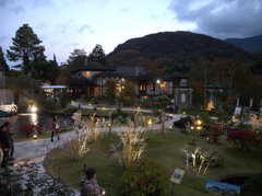 1-DSCN2226