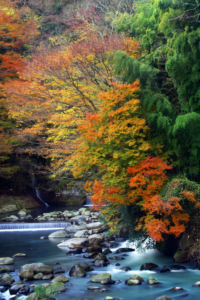 箱根_早川