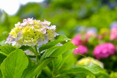 TEST_EF24mm-105  4L_1