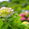 TEST_EF24mm-105  4L_1