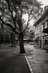 星の王子さまミュージアム