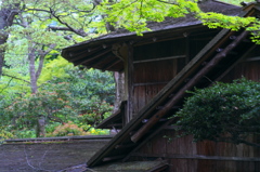 強羅公園_白雲洞