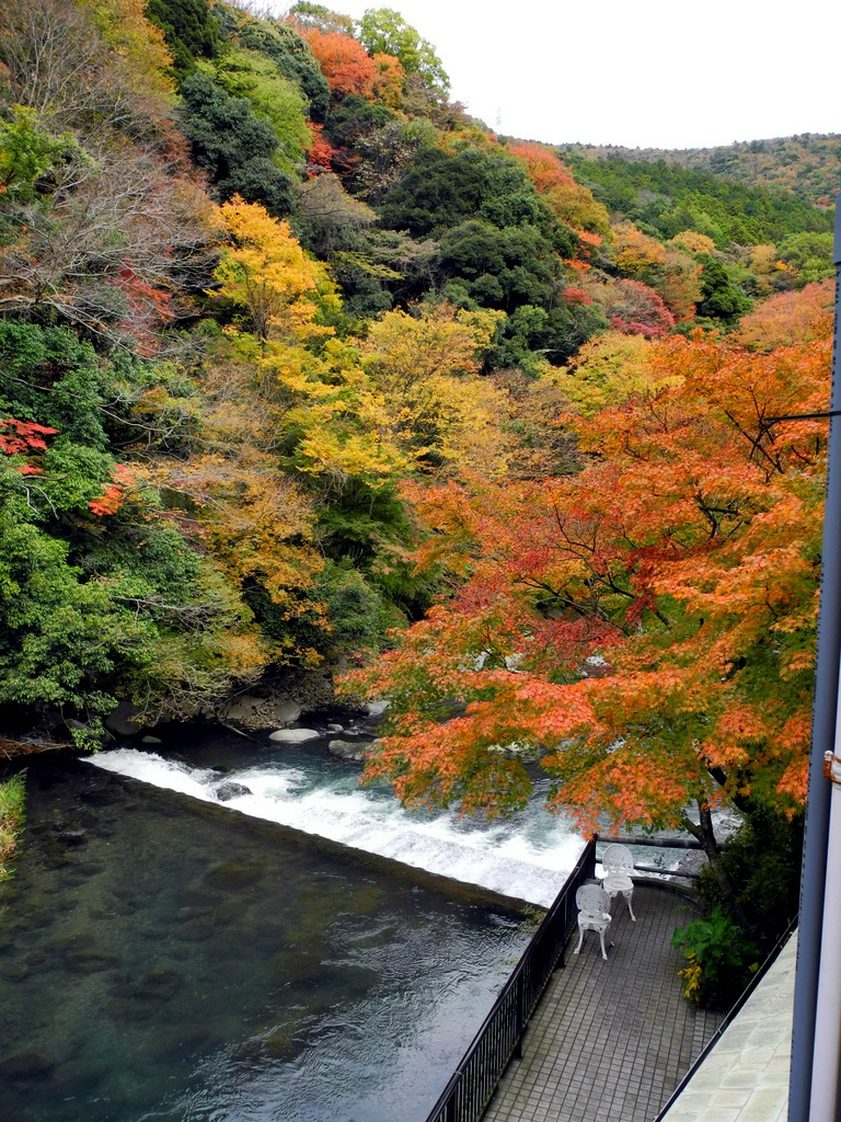 1-DSCN1206