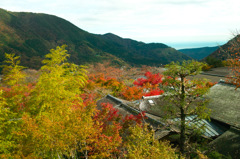 相模湾を望む