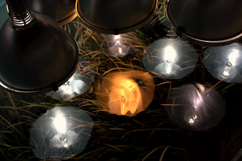  aquarium which I watched from the top