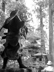 此処より結界の中