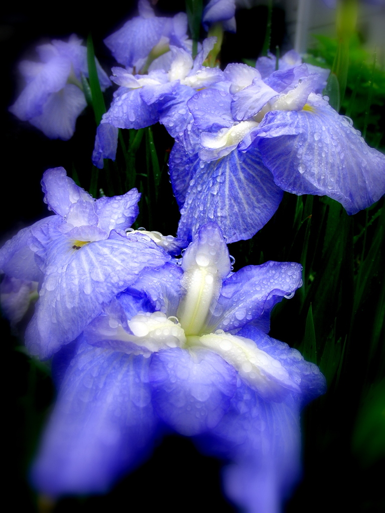 test_EX-FC1002_7