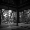MONO4