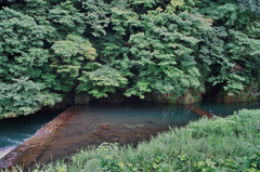 箱根湯本徘徊_早川